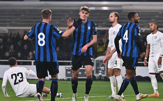 的年轻球员 的年轻球员